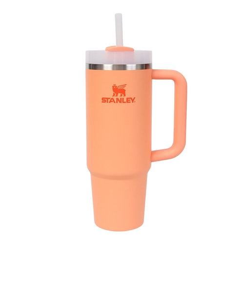 スタンレー（STANLEY）水筒 ボトル マグ H2.0 真空スリムクエンチャー 0.88L NECTARINE 10-11825-197