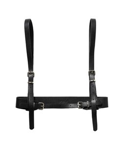 REMOVABLE SHOULDER STRAP HARNESS