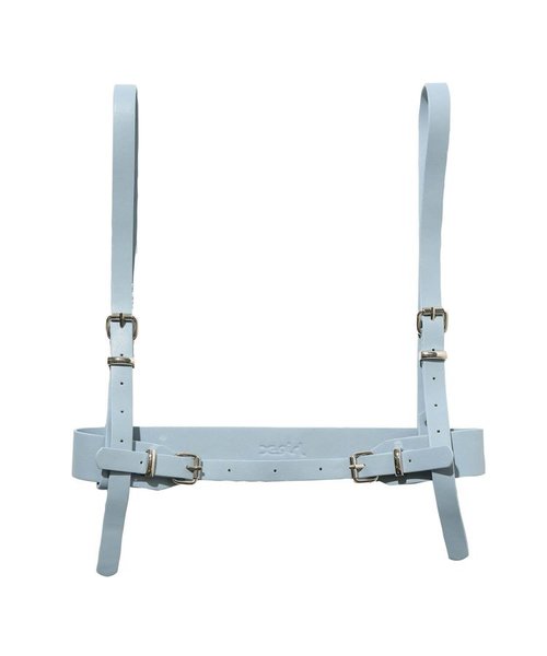 REMOVABLE SHOULDER STRAP HARNESS