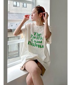 新色追加！ヴィンテージウォッシュロゴビッグTee