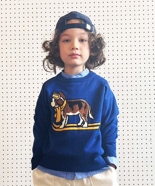 GROOVY SKIDOG Crewneck Knit Pullover