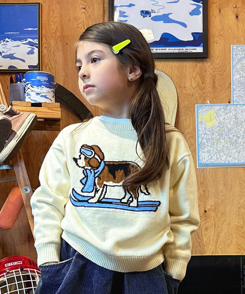 GROOVY SKIDOG Crewneck Knit Pullover