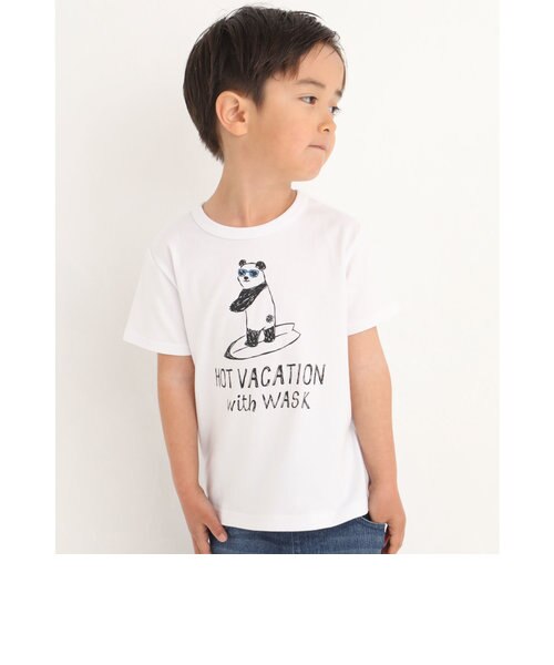 アニマル 天竺 Tシャツ 100 160cm Bebe Online Store ヘ ベ オンライン ストア の通販 Mall