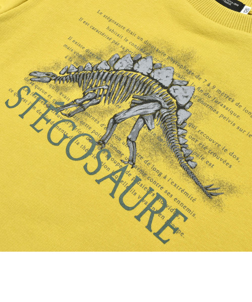 ベア裏毛恐竜標本トレーナー(80~150cm) | BEBE ONLINE STORE（ベベ