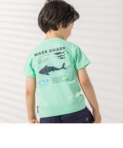【接触冷感】WASK SHARK 天竺Tシャツ(100~160cm)