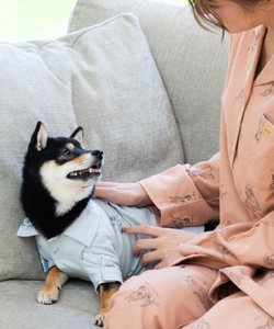 cotton flannel小型犬サイズ・犬服(ドッグウェア)・シャツ