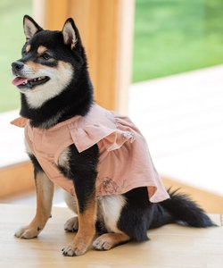 cotton flannel小型犬サイズ・犬服(ドッグウェア)・ドレス