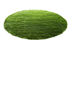 GRASS RUG φ150