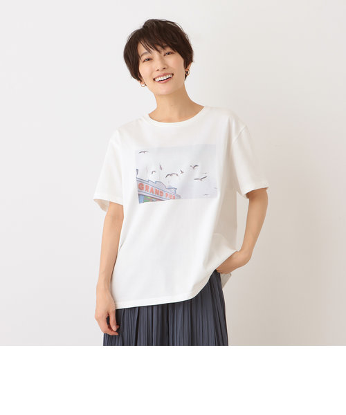 フォトプリントワイドTシャツ/カモメ/神ノ川智早