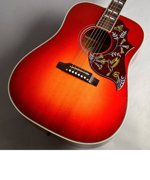 CANDA アコースティックギター ハミングバード エレアコ Hummingbird