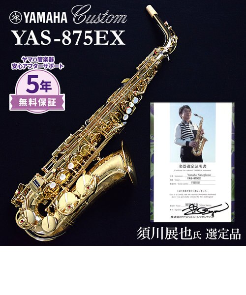 YAMAHA YAS-875EX 純正ケース