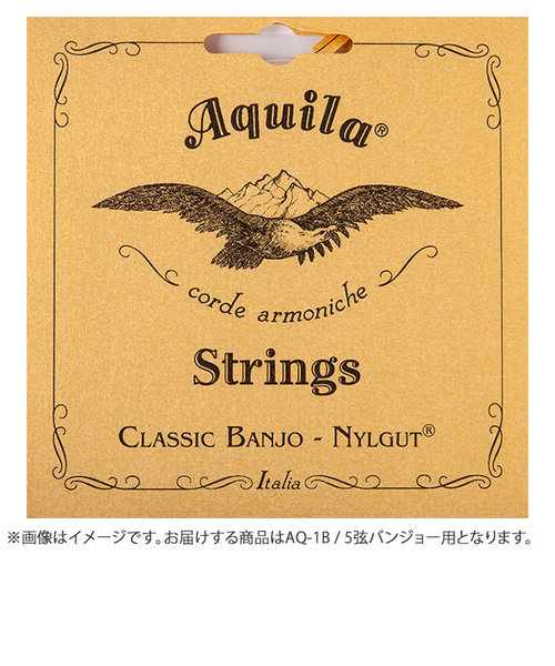 1B Nylgut String 5弦バンジョー用 ミディアム (4th Red 弦) AQ-1B | 島村楽器（シマムラガッキ）の通販 - u0026mall