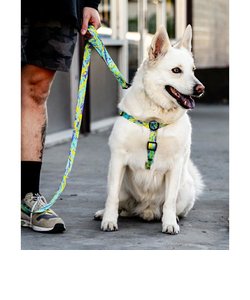WOLFGANG(ウルフギャング)犬用 ハーネス/Sサイズ/ModernCanvas Harness/WH-001-103/超小型犬用 小型犬用 胴輪/ペットグッズ/リード/ハーネス/首輪/ムラサキスポーツ