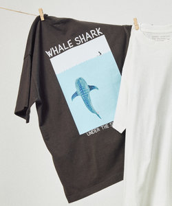 WHALESHARK プリントTシャツ/ホエールシャーク Tシャツ
