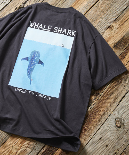 Whale  Shark Tee/ホエールシャーク Tシャツ/バックプリント/リラックスフィット