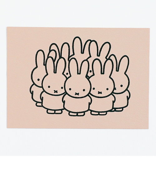 ミッフィー miffy ポストカード（pink） ハガキ 文具 日本製