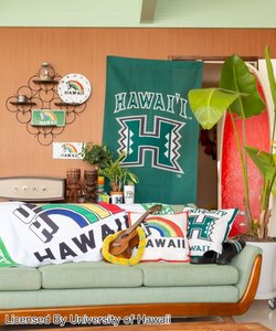 【Kahiko】University of Hawaii グリーンパーテーション