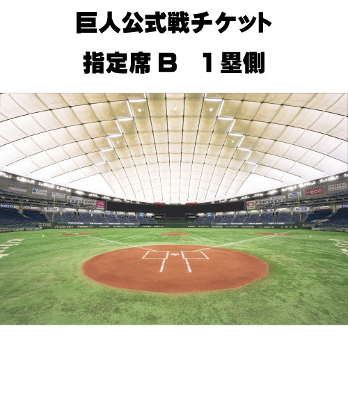 東京ドーム巨人対ヤクルト戦チケット 1席 www.krzysztofbialy.com