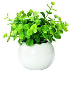 光触媒 観葉植物 通販 フェイクグリーン ミニ インテリアグリーン リアル 小さめ おしゃれ 小さい 枯れない 造花 コンパクト ラウンドポット 丸型