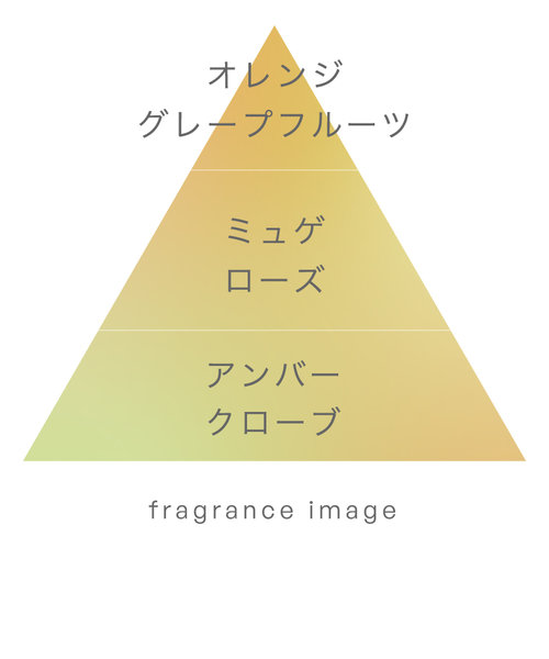 pucarito リードディフューザー hodokeru 100ml | 生活の木