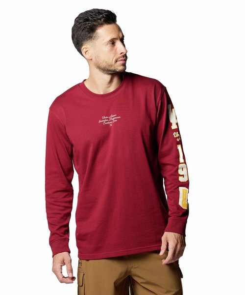 UA HEAVYWEIGHT COLLEGIATE LONG SLEEVE T-SHIRT