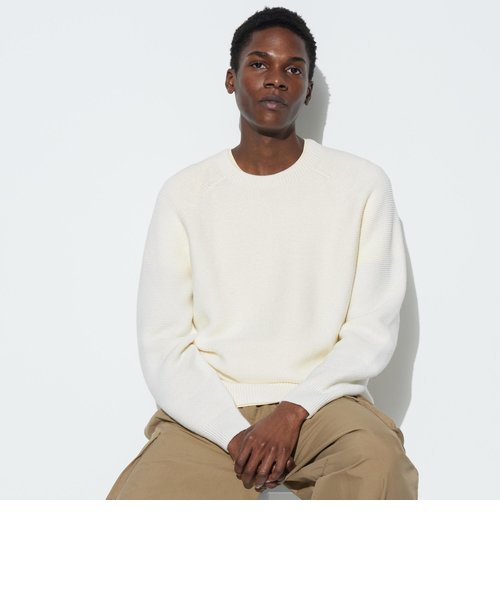 3Dクルーネックセーター（長袖） | ユニクロ（ユニクロ）の通販