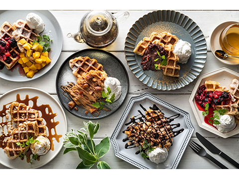 VEGEGO Onuresiktan & CAFE