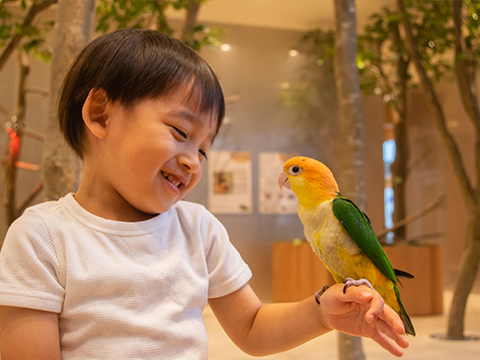 Moff animal cafe