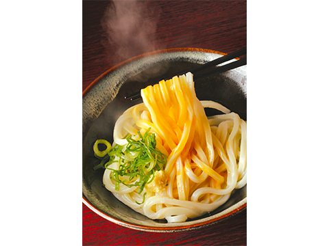 Miyatake Sanuki Udon
