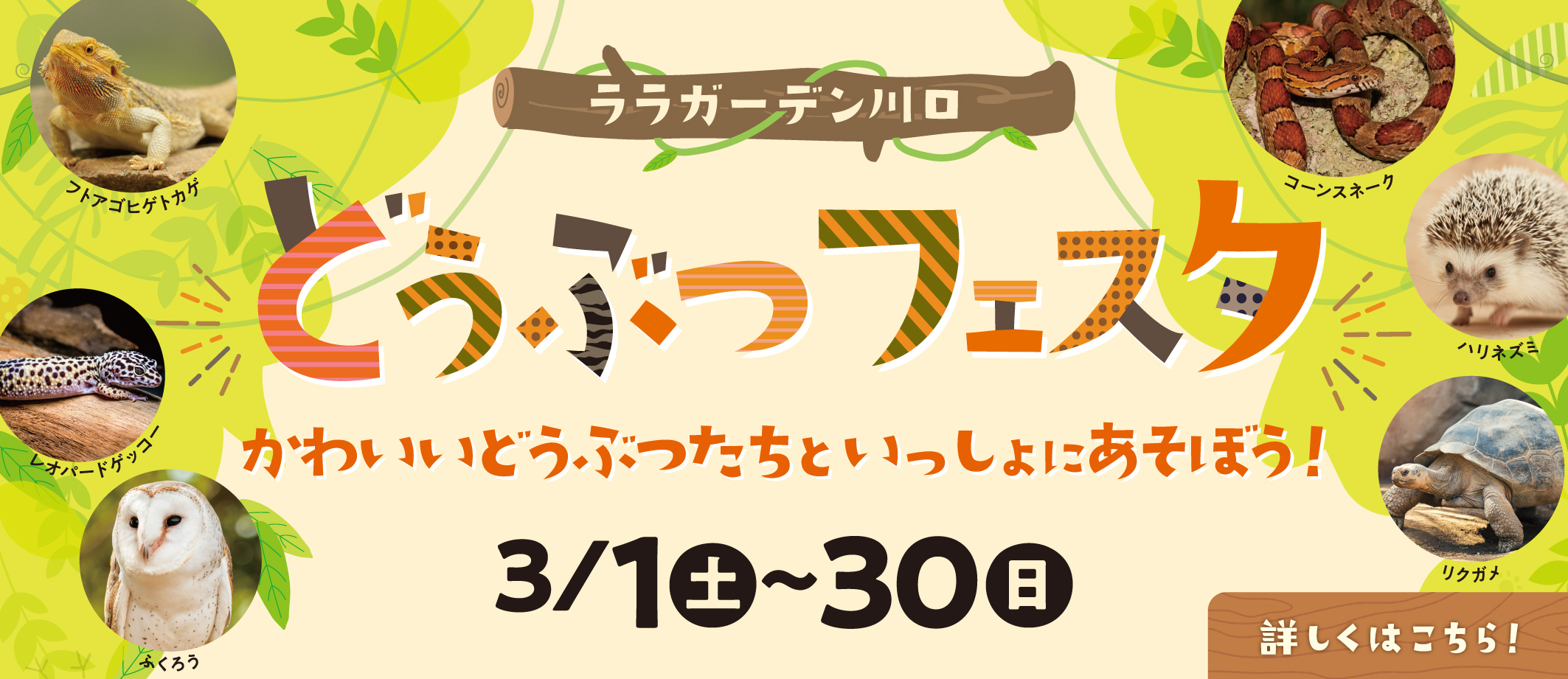 【3/1-3/30】どうぶつ