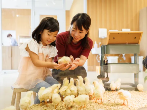 動物と触れ合えるモフアニマルカフェ
