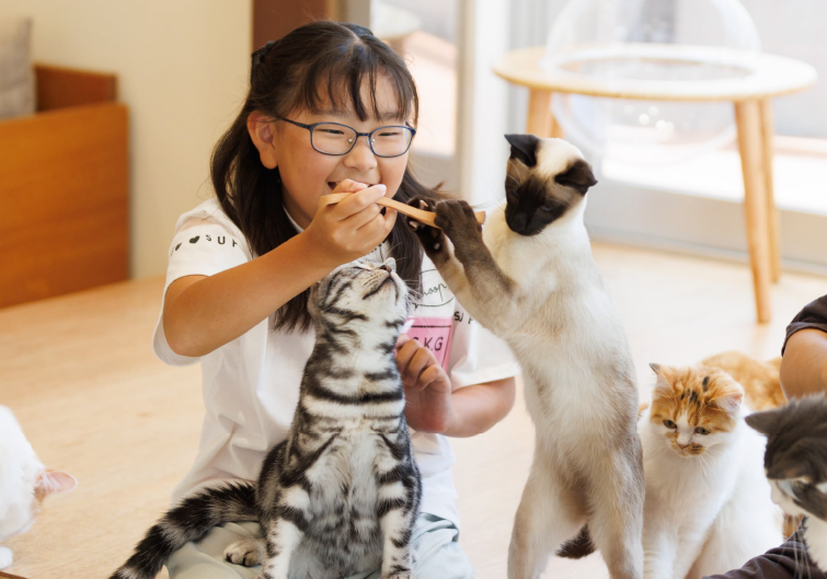 Cat Café MOFFのイメージ