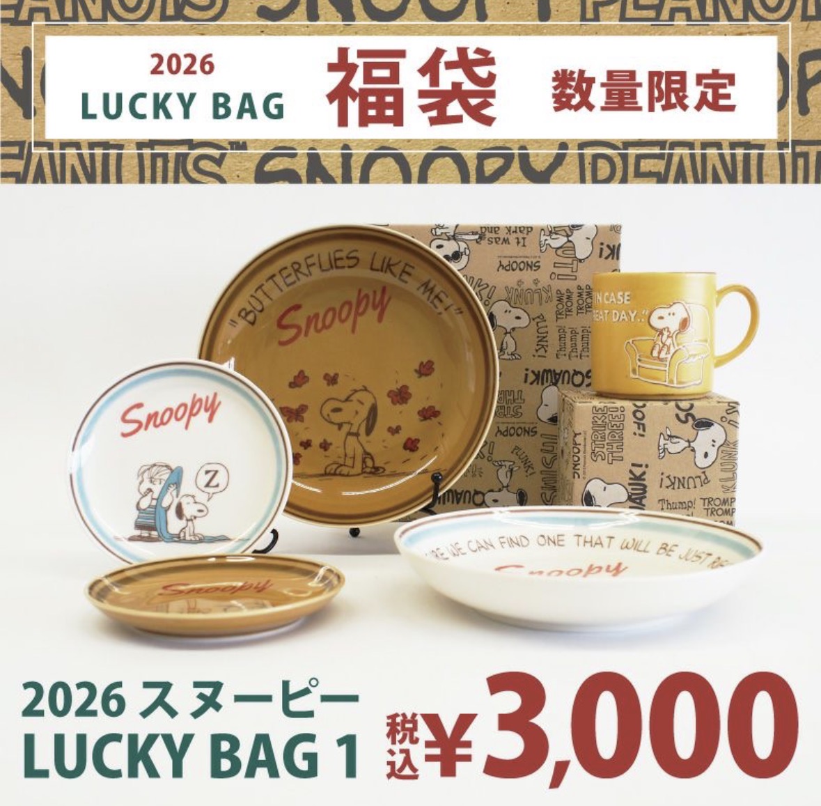 バカラ　スヌーピー 初期　希少　 新品未使用 Z-3 やわらかガラガラメリー プレミアム スヌーピー::ホクソンベビー