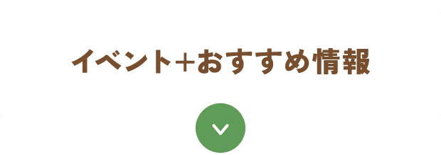 イベント+おすすめ情報