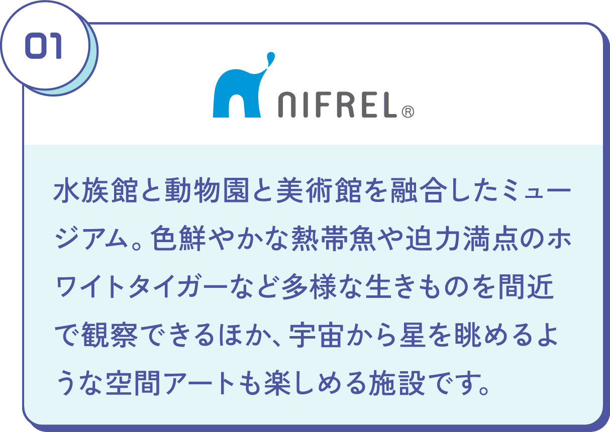 水族館と動物園と美術館を融合したミュージアム。色鮮やかな熱帯魚や迫力満点のホワイトタイガーなど多様な生きものを間近で観察できるほか、宇宙から星を眺めるような空間アートも楽しめる施設です。