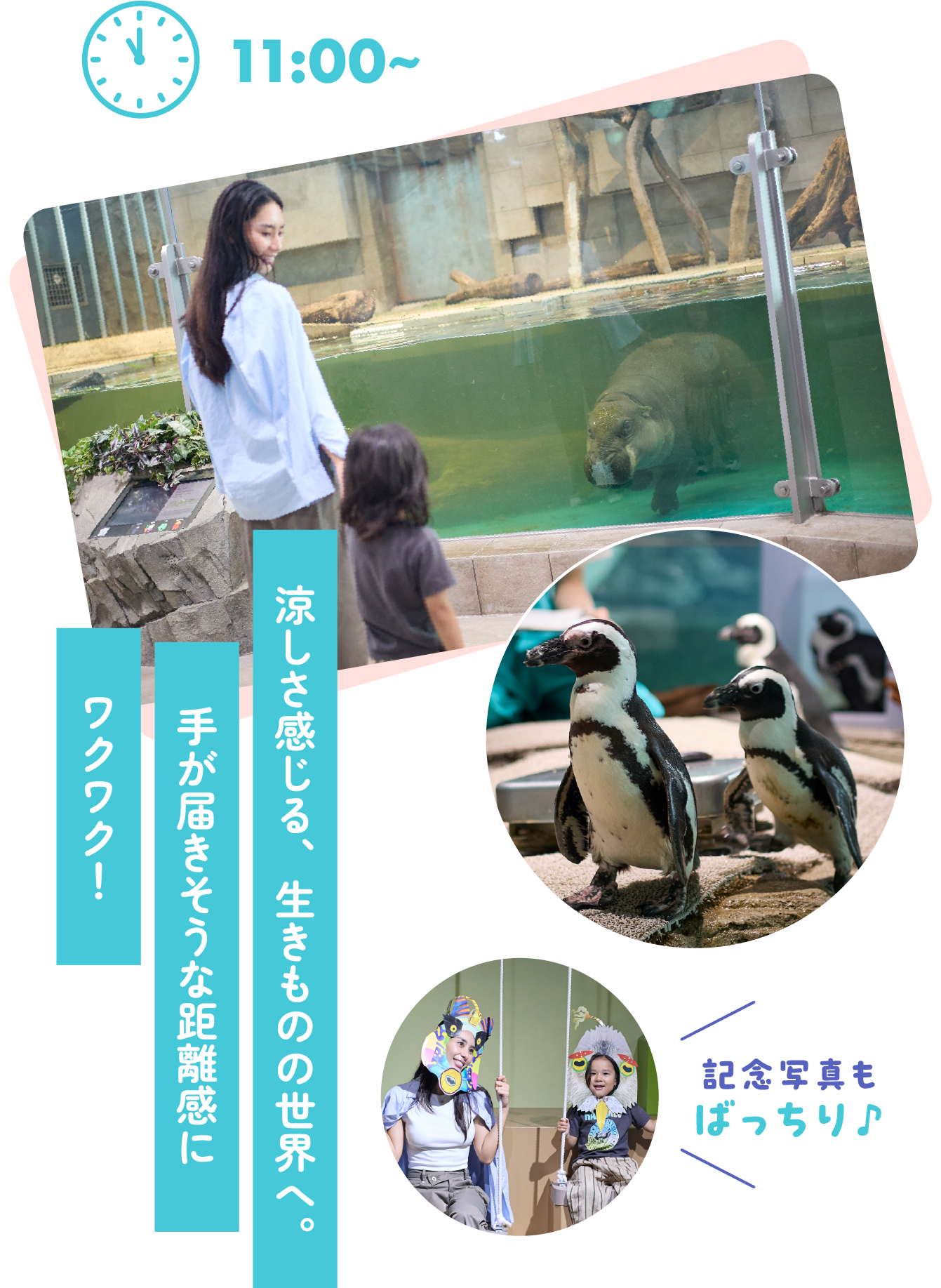 涼しさ感じる、生きものの世界へ。手が届きそうな距離感にワクワク！