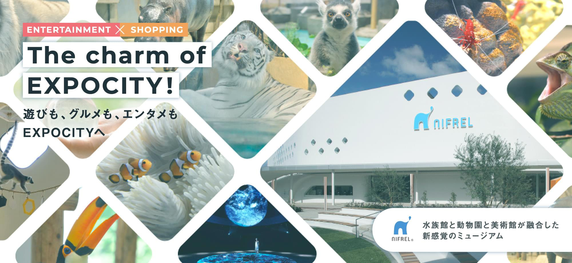 [ENTERTAINMENT × SHOPPING] The charm of EXPOCITY! 遊びも、グルメも、エンタメもEXPOCITYへ NIFREL 水族館と動物園と美術館が融合した新感覚のミュージアム