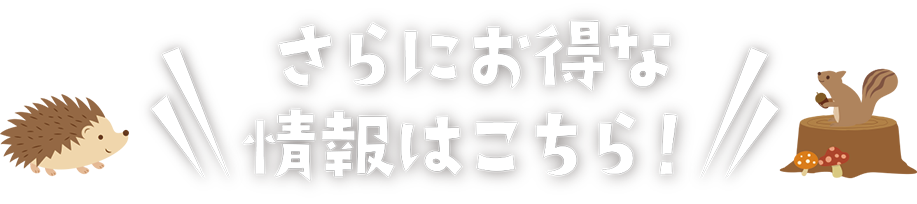 さらにお得な情報はこちら！