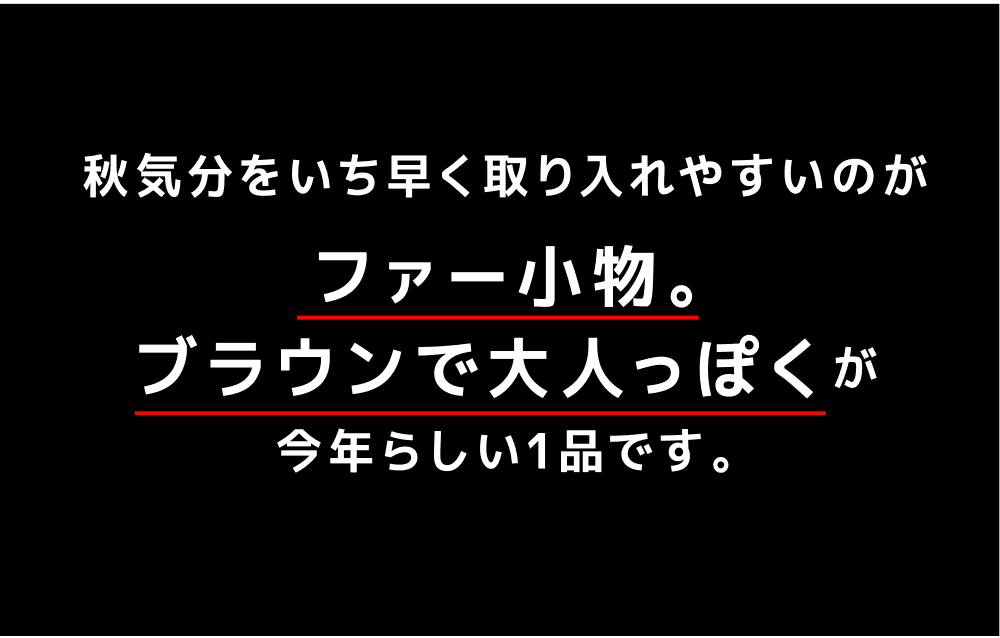 秋気分をいち早く取り入れやすいのがファー小物。ブラウンで大人っぽくが今年らしい1品です。