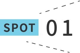 SPOT 01