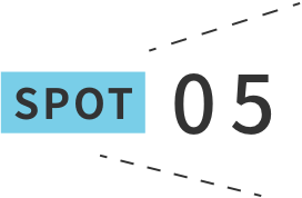SPOT 05