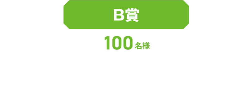 B賞　湘南ベルマーレ　オリジナルマフラータオル