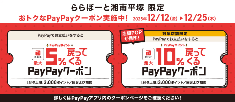 paypay施策