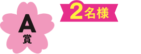 A賞 2名様
