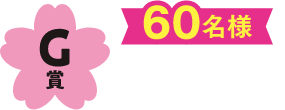 G賞 60名様