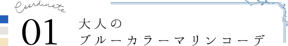 Coordinate01 大人のブルーカラーマリンコーデ