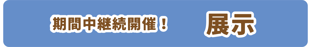 展示