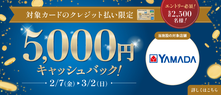 ヤマダデンキテックランド限定  対象カードのクレジット払い限定 5,000円キャッシュバック