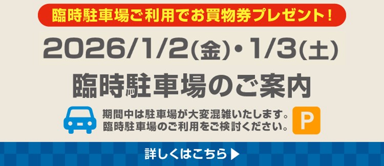 Temporary parking lot