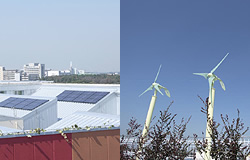 太陽光発電・風力発電
